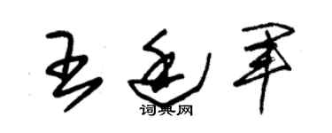 朱锡荣王廷军草书个性签名怎么写