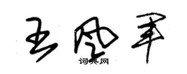 朱锡荣王风军草书个性签名怎么写