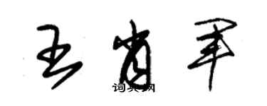 朱锡荣王肖军草书个性签名怎么写