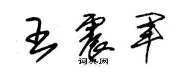 朱锡荣王震军草书个性签名怎么写