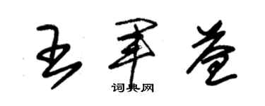 朱锡荣王军益草书个性签名怎么写