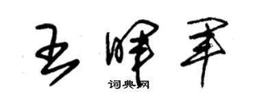 朱锡荣王晖军草书个性签名怎么写