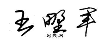 朱锡荣王野军草书个性签名怎么写