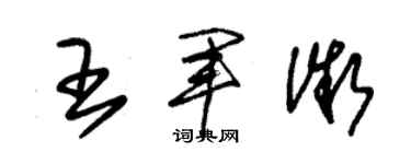 朱锡荣王军微草书个性签名怎么写