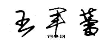 朱锡荣王军蕾草书个性签名怎么写