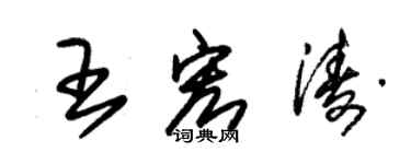 朱锡荣王宏涛草书个性签名怎么写