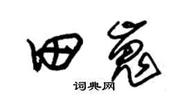 朱锡荣田嵬草书个性签名怎么写
