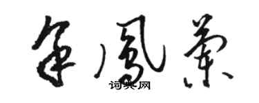 骆恒光余凤兰草书个性签名怎么写