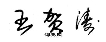 朱锡荣王贺涛草书个性签名怎么写