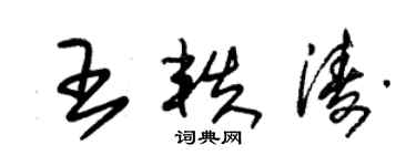 朱锡荣王轶涛草书个性签名怎么写