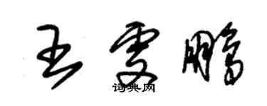 朱锡荣王雯鹏草书个性签名怎么写