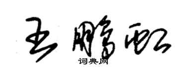 朱锡荣王鹏虹草书个性签名怎么写