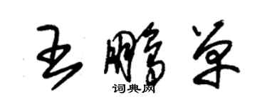 朱锡荣王鹏单草书个性签名怎么写