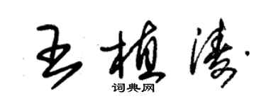 朱锡荣王植涛草书个性签名怎么写