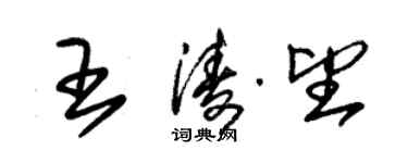 朱锡荣王涛望草书个性签名怎么写
