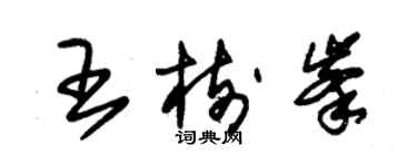 朱锡荣王树峰草书个性签名怎么写