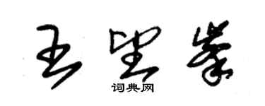 朱锡荣王望峰草书个性签名怎么写