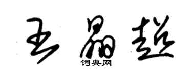 朱锡荣王晶超草书个性签名怎么写