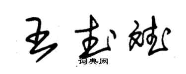 朱锡荣王武斌草书个性签名怎么写