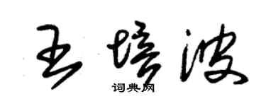 朱锡荣王培波草书个性签名怎么写