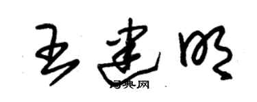朱锡荣王建明草书个性签名怎么写