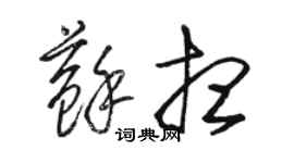 骆恒光苏想草书个性签名怎么写