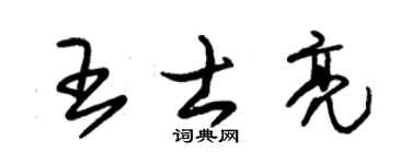朱锡荣王士亮草书个性签名怎么写