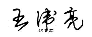 朱锡荣王卫亮草书个性签名怎么写