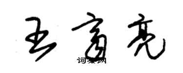 朱锡荣王齐亮草书个性签名怎么写