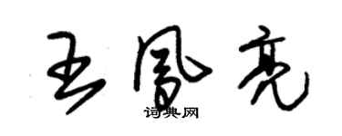 朱锡荣王凤亮草书个性签名怎么写