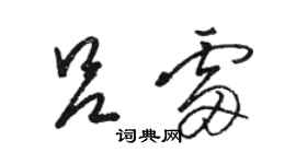 骆恒光吕雷草书个性签名怎么写