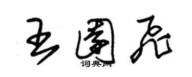 朱锡荣王园飞草书个性签名怎么写