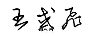 朱锡荣王或飞草书个性签名怎么写