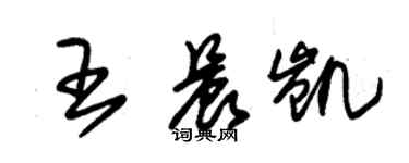 朱锡荣王晨凯草书个性签名怎么写