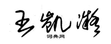 朱锡荣王凯凝草书个性签名怎么写