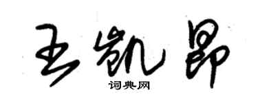 朱锡荣王凯昂草书个性签名怎么写