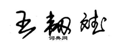 朱锡荣王韧斌草书个性签名怎么写