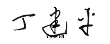 骆恒光丁建平草书个性签名怎么写
