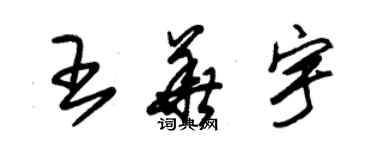 朱锡荣王华宇草书个性签名怎么写