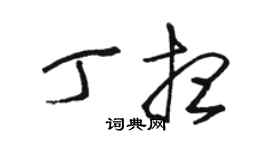 骆恒光丁想草书个性签名怎么写
