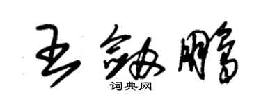 朱锡荣王剑鹏草书个性签名怎么写