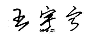 朱锡荣王宇宁草书个性签名怎么写