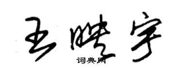 朱锡荣王映宇草书个性签名怎么写