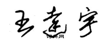 朱锡荣王达宇草书个性签名怎么写