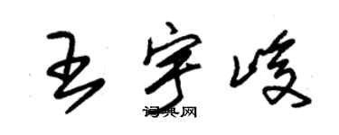 朱锡荣王宇峻草书个性签名怎么写
