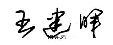 朱锡荣王建晖草书个性签名怎么写
