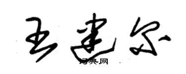 朱锡荣王建尔草书个性签名怎么写