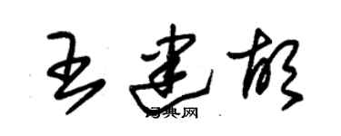 朱锡荣王建胡草书个性签名怎么写