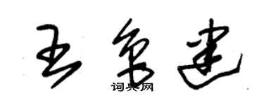 朱锡荣王鲁建草书个性签名怎么写