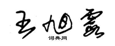 朱锡荣王旭霞草书个性签名怎么写
